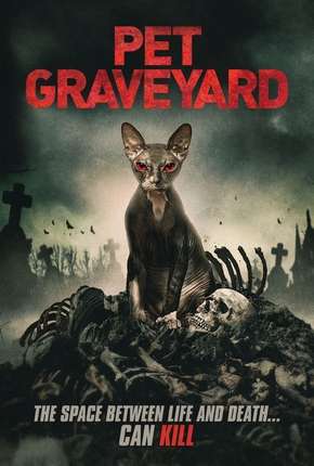 Pet Graveyard - Legendado 2019 Torrent