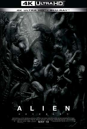 Alien - Covenant - 4K 2017 Torrent