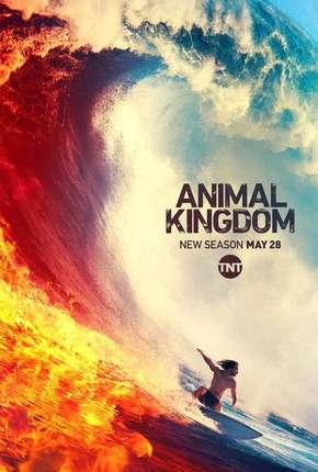 Animal Kingdom - 4ª Temporada Legendada 2019 Torrent