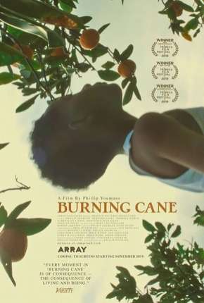 Burning Cane - Legendado 2019 Torrent