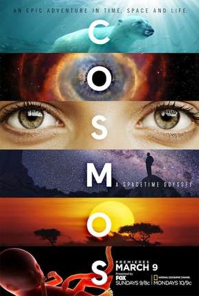 Cosmos - Uma Odisseia No Espaço-Tempo - 1ª Temporada 2014 Torrent