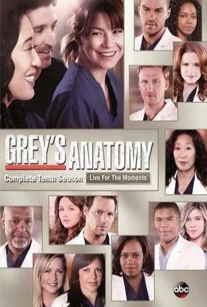 Greys Anatomy - 10ª Temporada - Completa 2013 Torrent