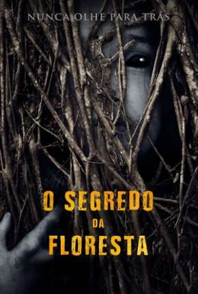 O Segredo da Floresta - Legendado 2020 Torrent