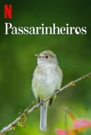 Passarinheiros - Birders 2020 Torrent