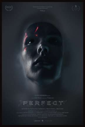 Perfect - Legendado 2020 Torrent