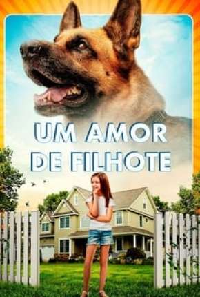 Um Amor de Filhote 2020 Torrent