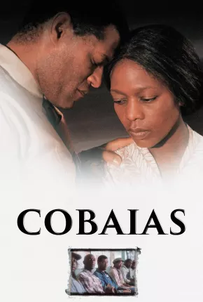 Cobaias 1997 Google Drive