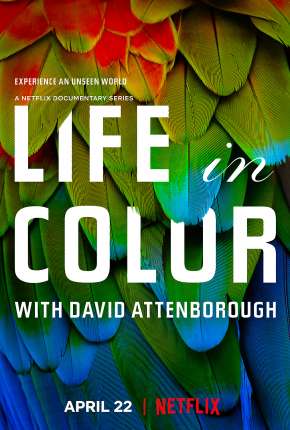 A Vida em Cores com David Attenborough - 1ª Temporada Completa 2021 Torrent