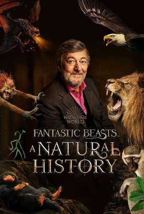 Animais Fantásticos - Uma História Natural 2022 Torrent