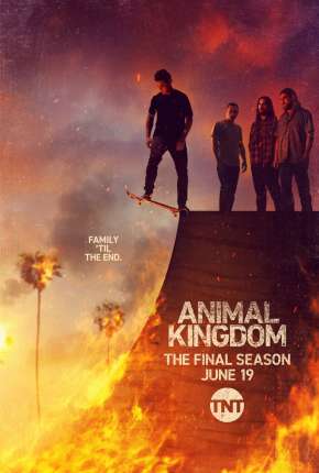 Animal Kingdom - 6ª Temporada Legendada 2022 Torrent