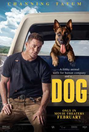 Dog - A Aventura de Uma Vida 2022 Torrent