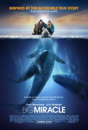 O Grande Milagre - Big Miracle 2012 Torrent