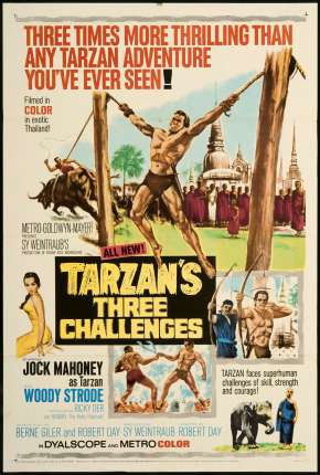 Os Três Desafios De Tarzan 1963 Torrent