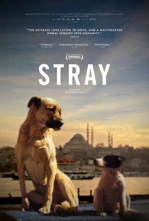 Stray - 2021 Legendado 2021 Torrent