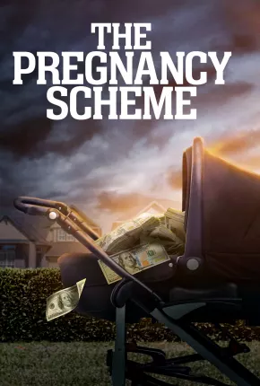 The Pregnancy Scheme - Legendado 2023 Torrent