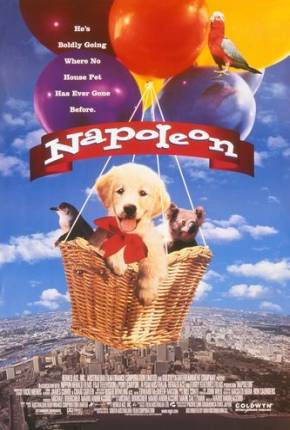 Napoleon, as Aventuras de um Cãozinho Valente 1995 Google Drive