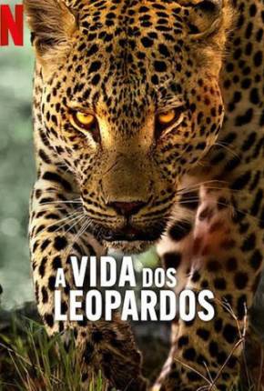 Torrent A Vida dos Leopardos
