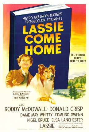 Lassie - A Força do Coração 1943 Torrent